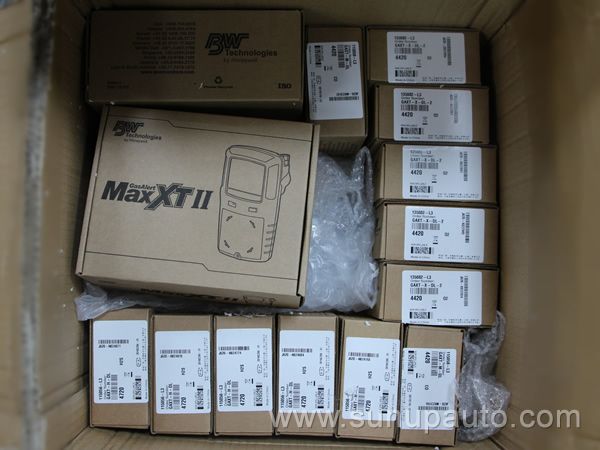 BW Technologies XT-XWHM-Y-CN, GAXT-M-DL, GAXT-H-DL, GAXT-X-DL-2